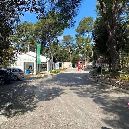 Campsite Iris Homes 4*