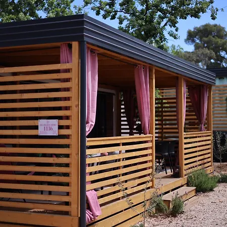 Campsite Iris Homes