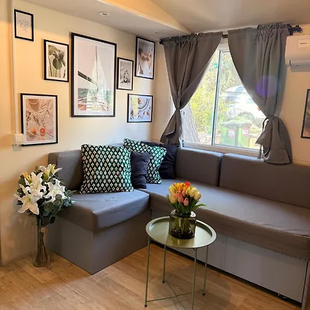 Iris Homes
